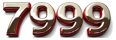 7999 game logo